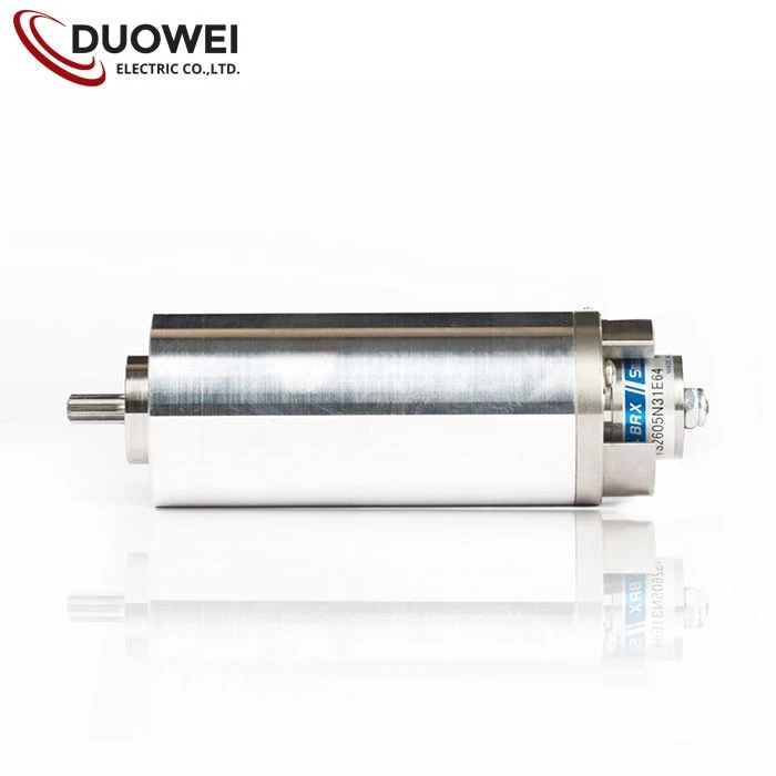 High Performance Brushless DC Motor
